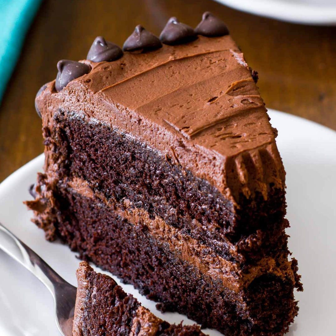 two-layer chocolate cake